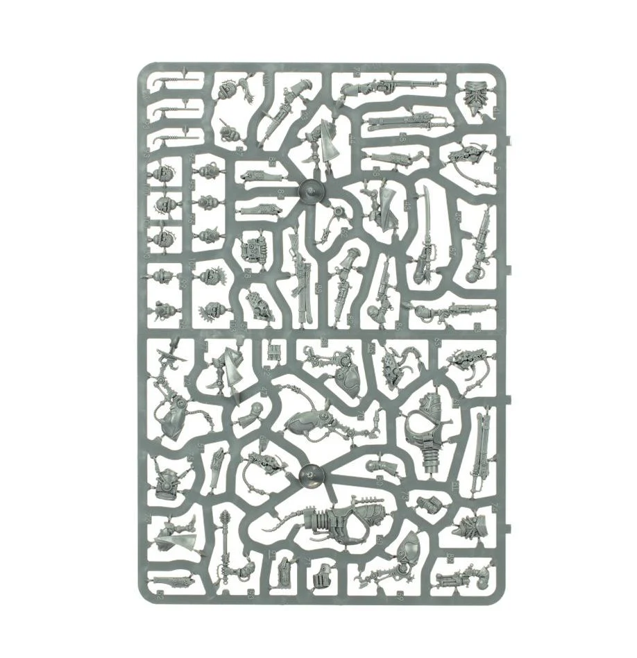 Serberys Raiders - Image 3